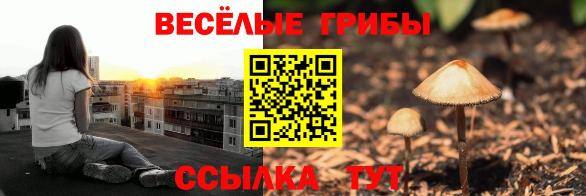 Кировск  как найти закладки  Вход с VPN  Псилоцибиновые грибы мицелий 